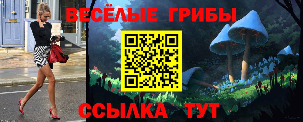 Артём  Псилоцибиновые грибы Psilocybine cubensis  Вход с VPN 